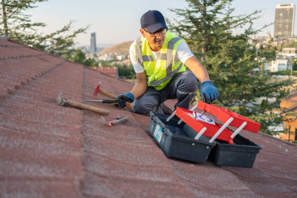 Professional Siding in Briar, TX